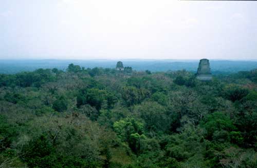 Guatemala: Die Tempel von Tikal im Dichten Dschungel
