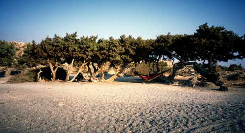 Kreta: Elafonisi, Ruhe abseits der Touristen