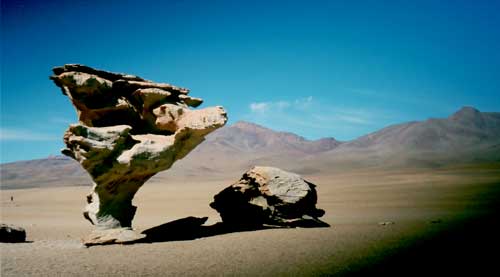 Bolivien, Tour Tuipza - Uyuni: Arbol de Piedra