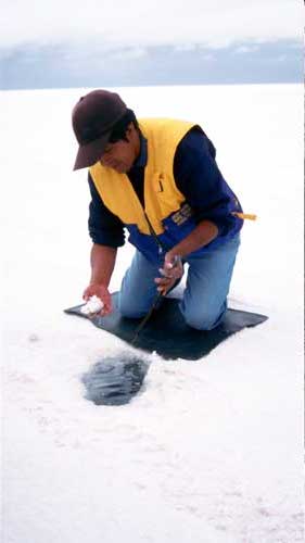 Bolivia, Salar de Uyuni: salt crystals