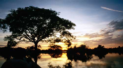Bolivia, Rurrenabarque, Pampa Tour: Sunrise