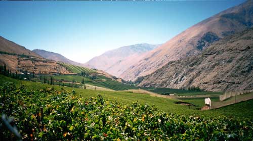 Chile: Elqui Tal
