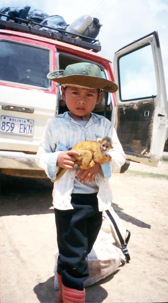 little boy with a tiny monkey on his arm