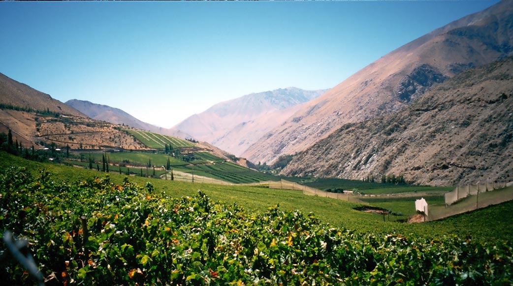 Elqui Tal, Chile