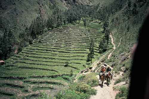 Peru, Valle Sagrado (das Heilige Tal der Inkas): Reiten bei Ollantaytambo