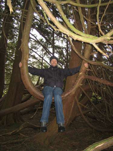 Ireland: Lough Key Forrest<br />
  Park