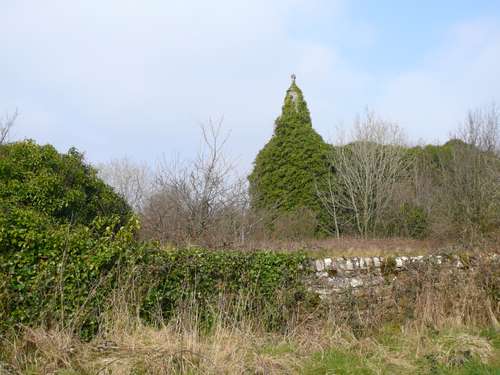 Ireland: A Ivy Church