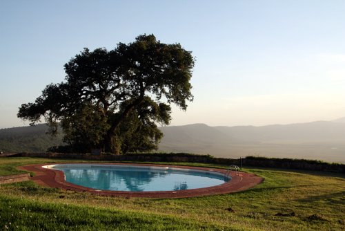 Tanasania - Ngorongoro - Ngorongoro Sopa Lodge