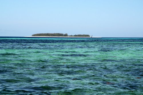 Tanasania - Zanzibar - Schnorcheln