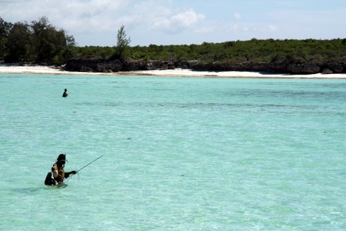 Tanasania - Zanzibar - Schnorcheln