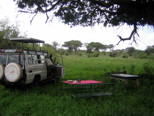 Tanasania - Tarangire National Park
