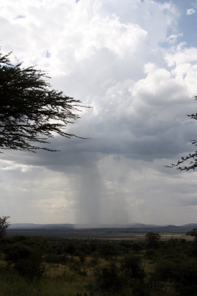 Serengeti - unter einer Wolke sieht man deutlich einen lokalen heftigen Regenschauer.