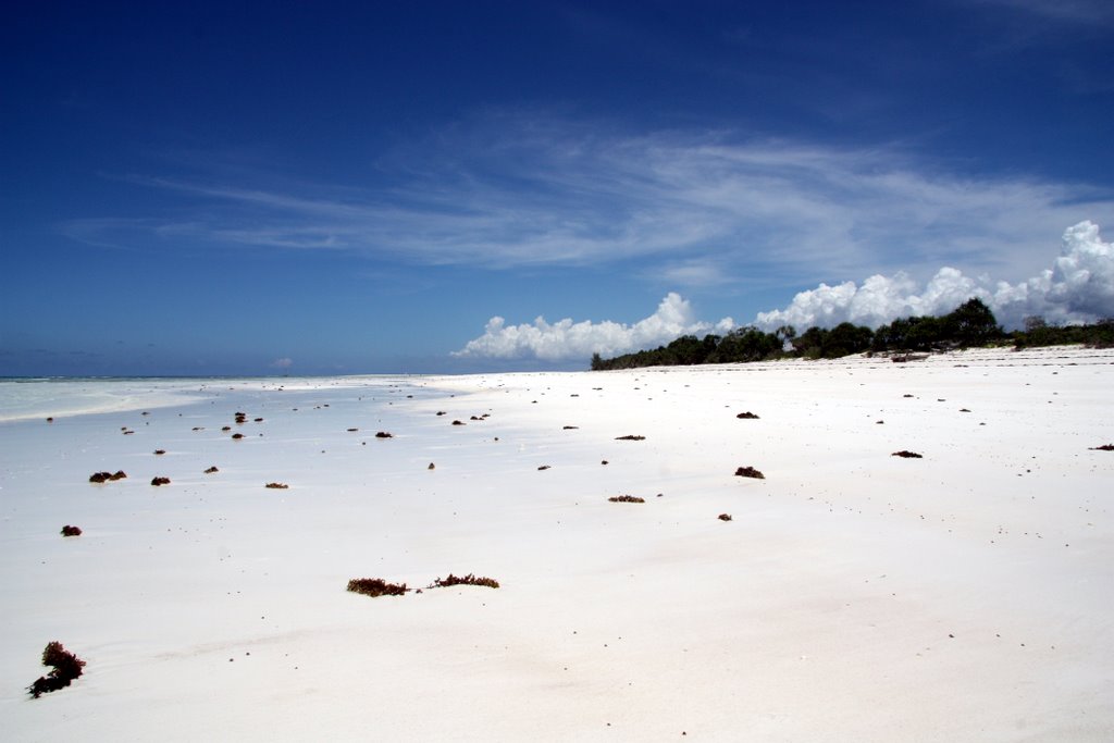 Zanzibar - white, endless sand beach