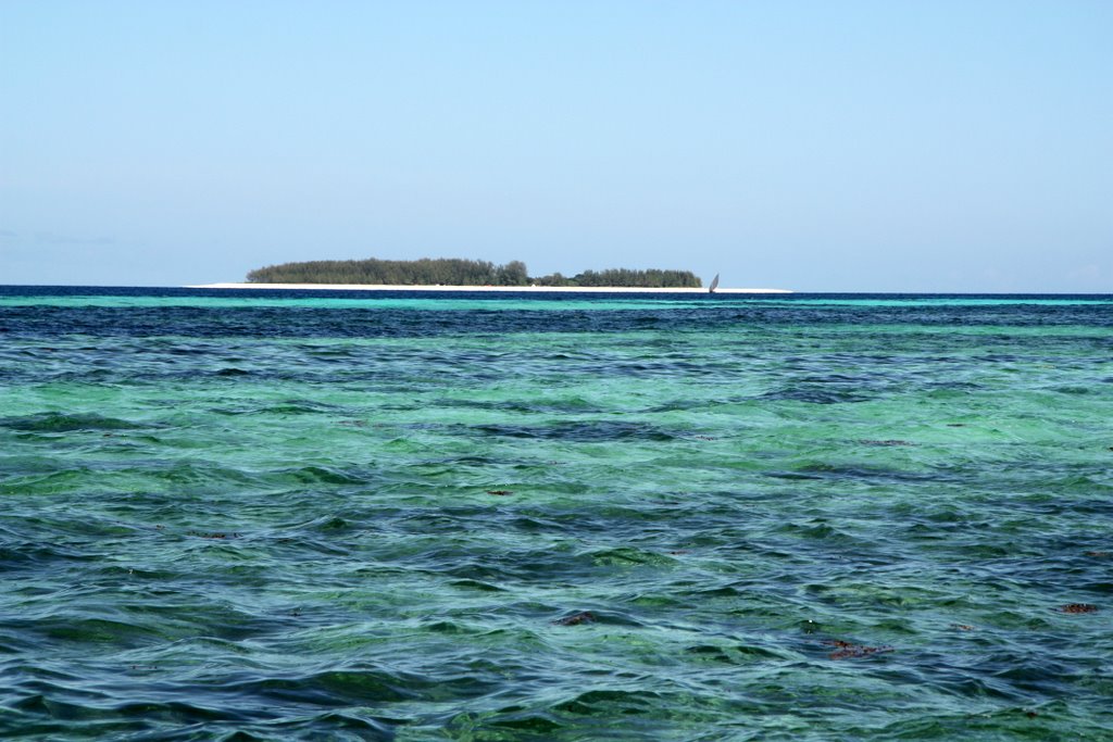 Zanzibar - eine kleine Insel in einem Naturschutzgebiet mit Riffen zum Schnorcheln