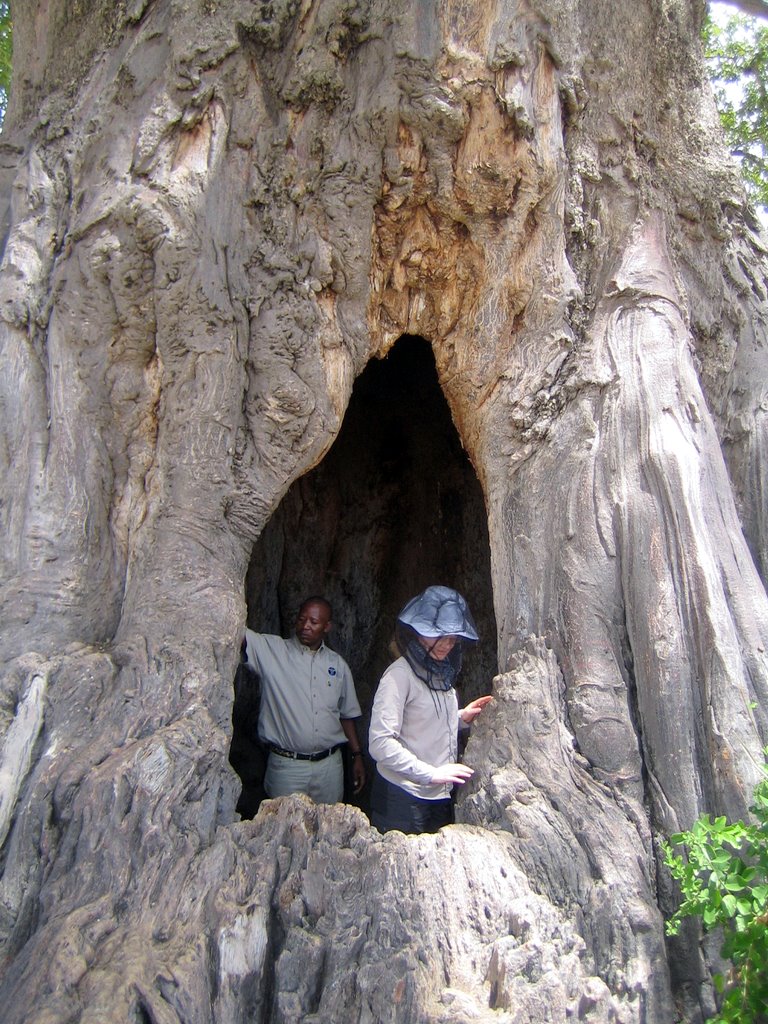 Tarangire Nationalpark - Gabi und unser Führer im Inneren einer Höhle in einem Baobab