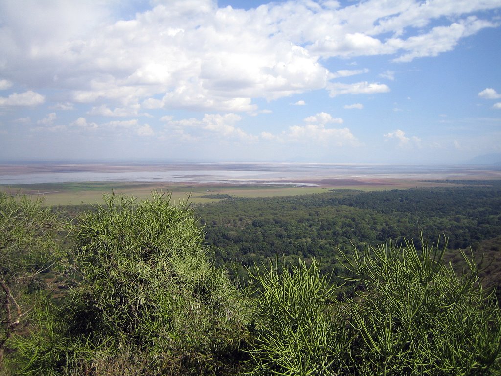 Tansania - Ngorongoro Krater