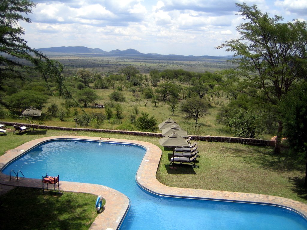 Serengeti Sopa Lodge - pool with view over Serengeti