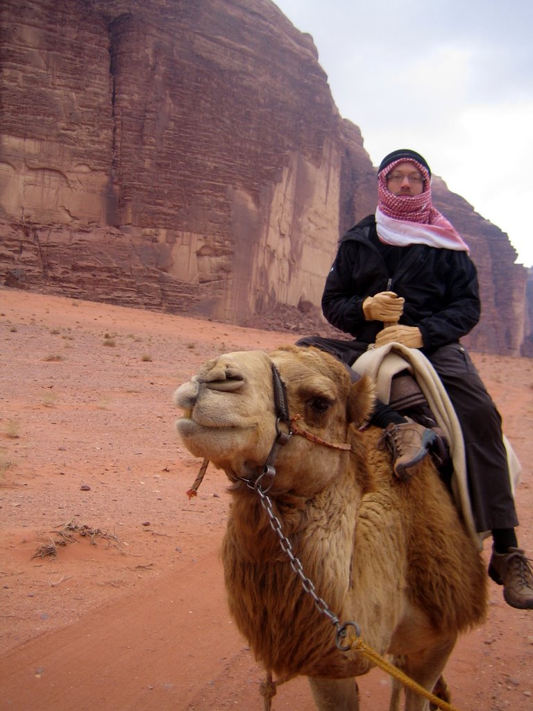 Wadi Rum - camel riding