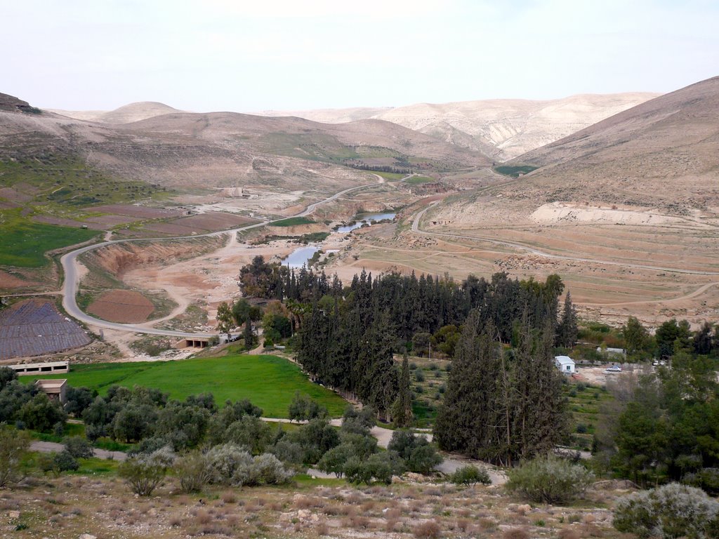 Jordanien Oase / Landwirtschaft