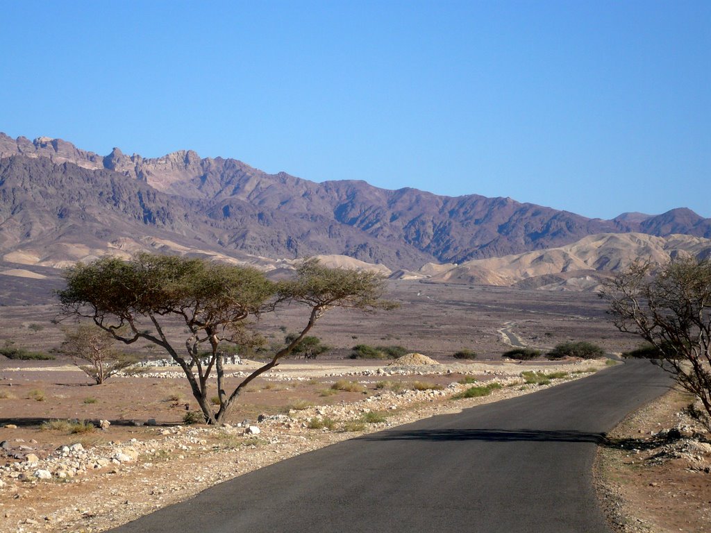 Blick aus dem Wadi Araba auf die Berge