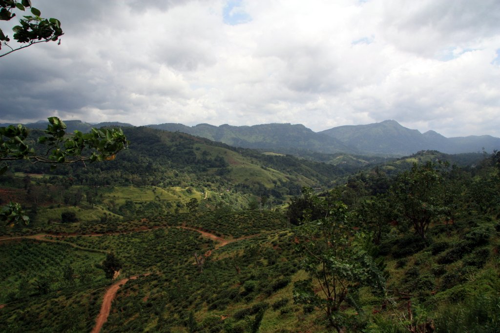 mountains between Kandy and Ella, Sri Lanka