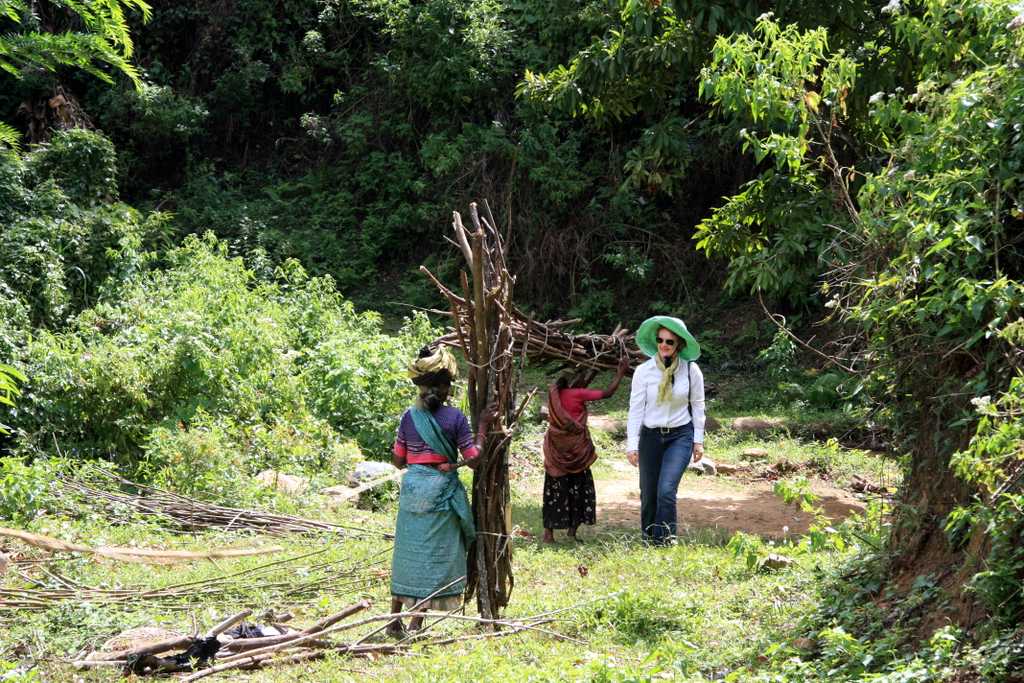 women collecting wood in the tea mountains of Sri Lanka
