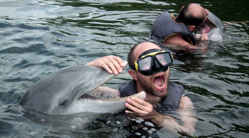 Volker mit Delfin im Dolfinario de Cienfuegos, Cuba