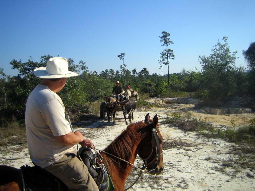 Ochsenkarren im Valle de Viñales, Cuba