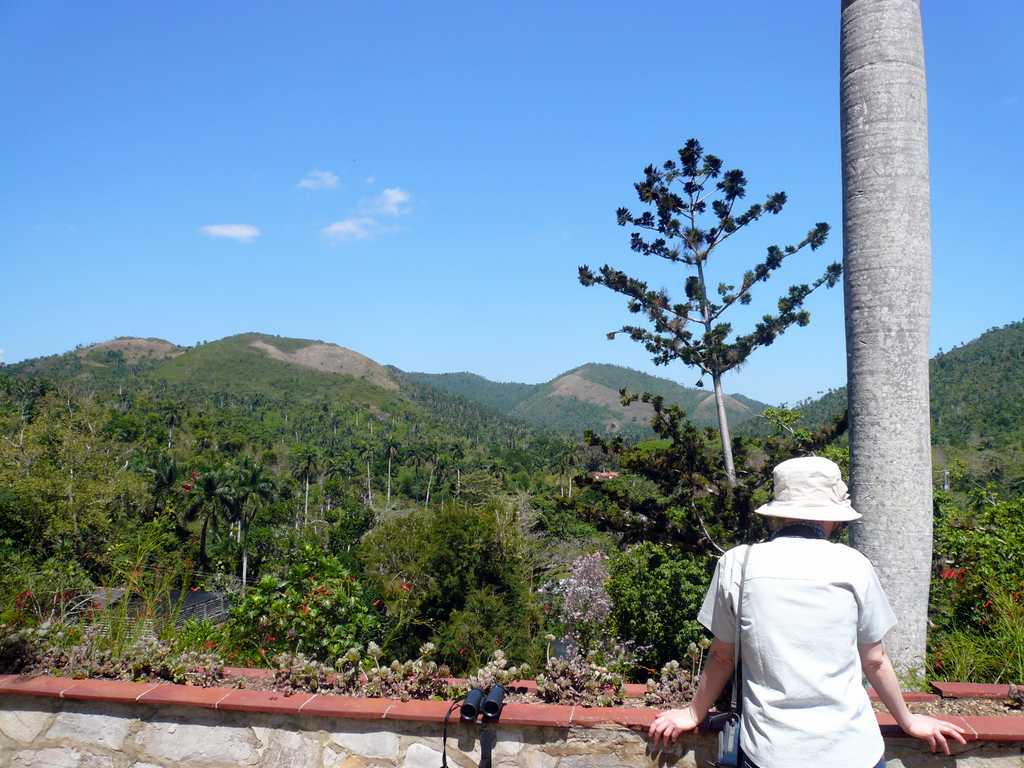 Blick über das Orquideario von Soroa, Cuba
