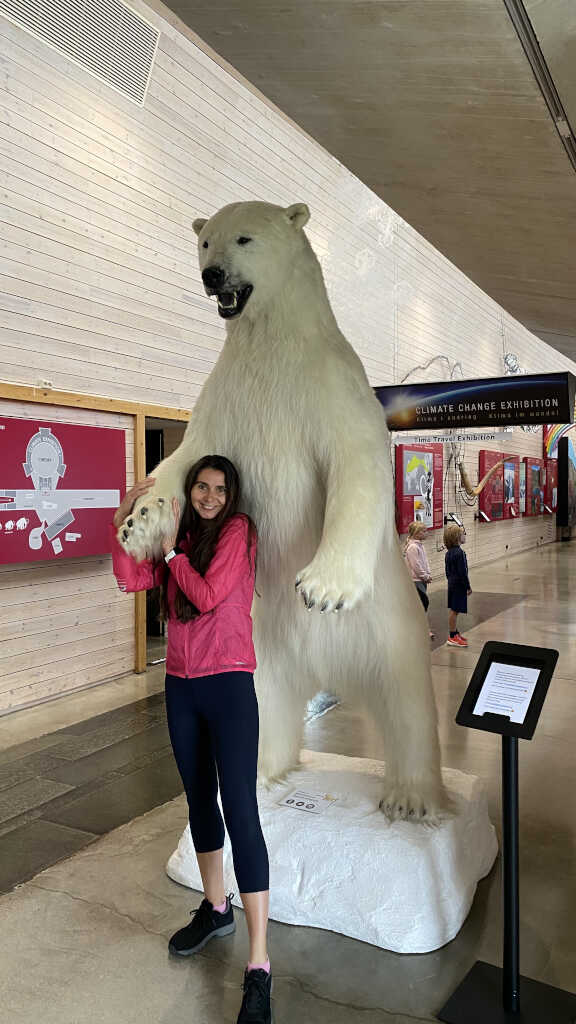 Eisbär im Norsk BreMuseum, Norwegen